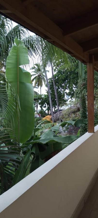 Guest House My Way ลาสแตร์เรนาส ภายนอก รูปภาพ